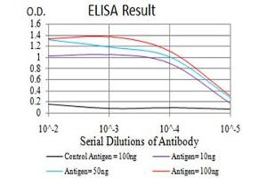 Black line: Control Antigen (100 ng), Purple line: Antigen(10 ng), Blue line: Antigen (50 ng), Red line: Antigen (100 ng), (Histone Cluster 2, H4a (HIST2H4A) (3meLys20) antibody)
