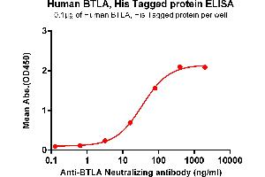 ELISA image for B and T Lymphocyte Associated (BTLA) (AA 31-150) protein (His tag) (ABIN7092696)