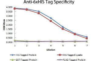 ELISA of Mouse anti-6xHIS Tag Antibody Antigen: HIS-tagged purified protein and E.