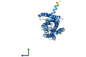 AlphaFold protein structure predicition of Human Recombinant OR2I1P Protein, UniprotID Q8NGU4 (OR2I1P Protein (AA 1-316) (His tag))