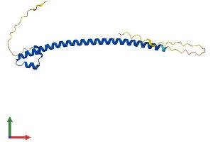 Protein Structure (PS) image for Transcription Factor MafG (Mafg) (AA 1-162) protein (His tag) (ABIN7562413)