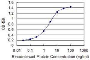 Detection limit for recombinant GST tagged ENAM is 0. (Enamelin antibody  (AA 1043-1141))