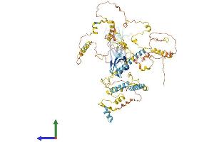 AlphaFold protein structure predicition of Mouse Recombinant Cfap221 Protein, UniprotID A9Q751 (Primary Ciliary Dyskinesia Protein 1 (PCDP1) (AA 1-836) protein (His tag))