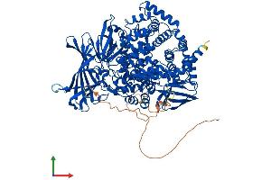 AlphaFold protein structure predicition of Human Recombinant ERAP1 Protein, UniprotID Q9NZ08 (ERAP1 Protein (AA 1-941) (His tag))