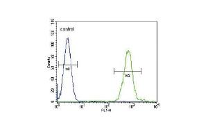 SLC8A1 Antibody (Center) (ABIN652886 and ABIN2842573) flow cytometric analysis of HL-60 cells (right histogram) compared to a negative control cell (left histogram). (SLC8A1 antibody  (AA 296-325))