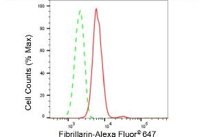 Flow cytometric analysis of Fibrillarin expression in HepG2 cells using Fibrillarin antibody (ABIN7798599), 1:2,000).