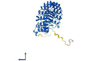 AlphaFold protein structure predicition of Mouse Recombinant Fbxl2 Protein, UniprotID Q8BH16 (FBXL2 Protein (AA 1-423) (His tag))
