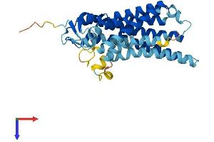 AlphaFold protein structure predicition of Human Recombinant OR51H1 Protein, UniprotID Q8NH63 (OR51H1 Protein (AA 1-302) (His tag))