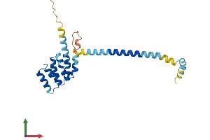 AlphaFold protein structure predicition of Mouse Recombinant Csprs Protein, UniprotID Q99388 (CSPRS Protein (AA 1-208) (His tag))
