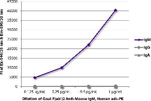 FLISA plate was coated with purified mouse IgM, IgG, and IgA. (Goat anti-Mouse IgM Antibody (PE) - Preadsorbed)