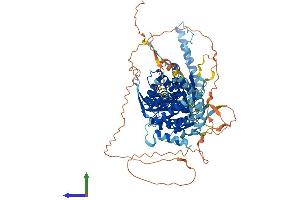 AlphaFold protein structure predicition of Human Recombinant BBS10 Protein, UniprotID Q8TAM1 (BBS10 Protein (AA 1-723) (His tag))