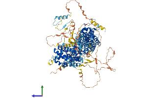 AlphaFold protein structure predicition of Human Recombinant RBL1 Protein, UniprotID P28749