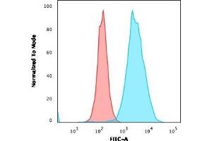 CD20 antibody  (AA 213-297)