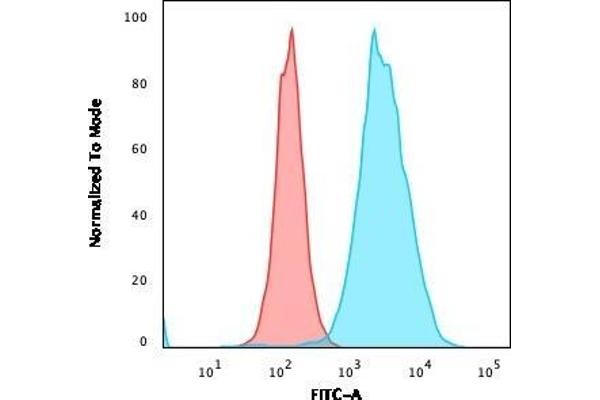 CD20 antibody  (AA 213-297)