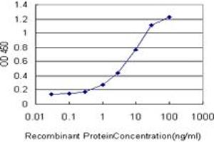 Detection limit for recombinant GST tagged SPP1 is approximately 0. (Osteopontin antibody  (AA 1-300))