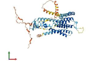 Protein Structure (PS) image for Transmembrane Protein 39B (TMEM39B) (AA 1-492) protein (His tag) (ABIN7558473)
