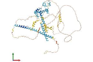 AlphaFold protein structure predicition of Mouse Recombinant Clasrp Protein, UniprotID Q8CFC7 (SFRS16 Protein (AA 1-668) (His tag))