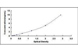 ELISA image for Insulin-Like Growth Factor 1 (IGF1) ELISA Kit (ABIN6730923)