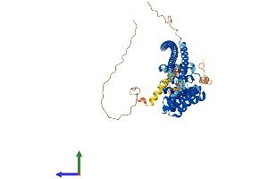 AlphaFold protein structure predicition of Human Recombinant KLC3 Protein, UniprotID Q6P597 (KLC3 Protein (AA 1-504) (His tag))