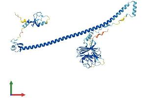 AlphaFold protein structure predicition of Human Recombinant TRIM50 Protein, UniprotID Q86XT4 (TRIM50 Protein (AA 1-487) (His tag))