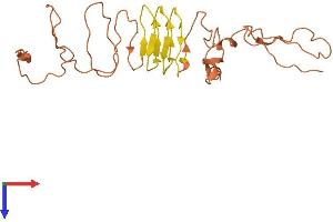 KRTAP5-11 Protein (AA 1-237) (His tag)