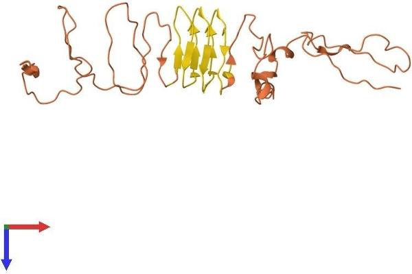 KRTAP5-11 Protein (AA 1-237) (His tag)