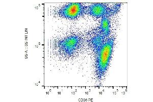 Surface staining of human peripheral blood with anti-CD36 (TR9) PE. (CD36 antibody  (PE))