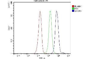 Flow Cytometry analysis of JK cells using anti-SCP3/SYCP3 antibody (ABIN7602415).