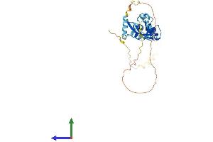 AlphaFold protein structure predicition of Human Recombinant FRA10AC1 Protein, UniprotID Q70Z53
