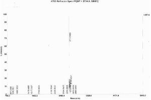 Image no. 3 for Procollagen I C-Terminal Propeptide (PICP) (C-Term) peptide (Ovalbumin) (ABIN5666346) (Procollagen I C-Terminal Propeptide (PICP) (C-Term) peptide (Ovalbumin))