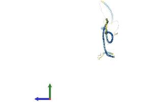 AlphaFold protein structure predicition of Mouse Recombinant Hmmr Protein, UniprotID Q00547 (HMMR Protein (AA 1-794) (His tag))