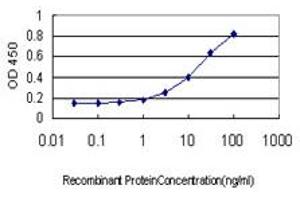 Detection limit for recombinant GST tagged TNFRSF17 is approximately 0. (BCMA antibody  (AA 1-184))