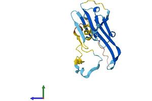 AlphaFold protein structure predicition of Mouse Recombinant Hspb2 Protein, UniprotID Q99PR8 (HSPB2 Protein (AA 1-182) (His tag))