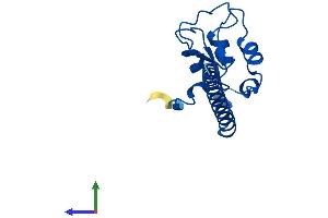 Protein Structure (PS) image for Baculoviral IAP Repeat-Containing 5 (BIRC5) (AA 1-142) protein (His tag) (ABIN7552619)