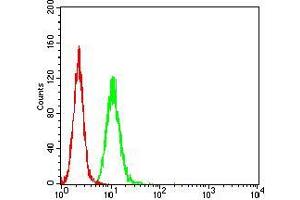 Flow Cytometry (FACS) image for anti-Actin Filament Associated Protein 1-Like 2 (AFAP1L2) (AA 674-818) antibody (ABIN5542602)