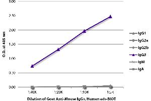 ELISA plate was coated with purified mouse IgG1, IgG2a, IgG2b, IgG3, IgM, and IgA. (Goat anti-Mouse IgG3 (Heavy Chain) Antibody (Biotin))