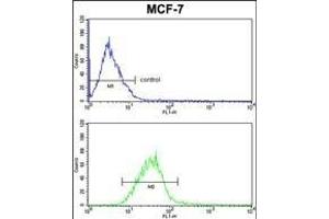 PIN1 Antibody (Center) (ABIN652906 and ABIN2842584) FC analysis of MCF-7 cells (bottom histogram) compared to a negative control cell (top histogram). (PIN1 antibody  (AA 30-56))