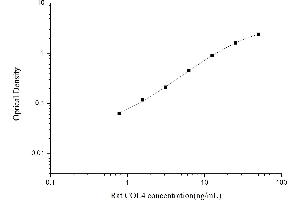 Typical standard curve (Collagen IV ELISA Kit)