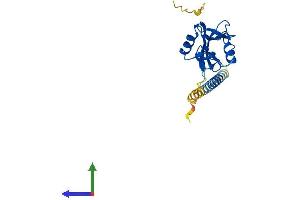 Protein Structure (PS) image for Killer Cell Lectin-Like Receptor Subfamily B, Member 1 (KLRB1) (AA 1-225) protein (His tag) (ABIN7548867)