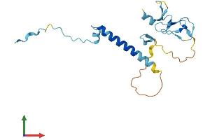 AlphaFold protein structure predicition of Mouse Recombinant Siva1 Protein, UniprotID O54926 (SIVA1 Protein (AA 1-175) (His tag))