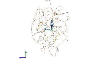 AlphaFold protein structure predicition of Human Recombinant POM121C Protein, UniprotID A8CG34 (POM121C Protein (AA 1-1229) (His tag))