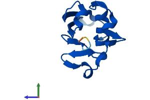 Protein Structure (PS) image for Ubiquitin Related Modifier 1 (Urm1) (AA 1-101) protein (His tag) (ABIN7545077)