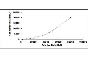 ELISA image for Insulin-Like Growth Factor Binding Protein 1 (IGFBPI) CLIA Kit (ABIN491766)