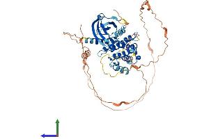 Protein Structure (PS) image for Receptor-Interacting serine-threonine Kinase 3 (RIPK3) (AA 1-518) protein (His tag) (ABIN7555237)
