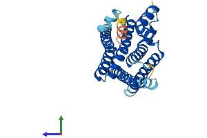 AlphaFold protein structure predicition of Mouse Recombinant Aph1c Protein, UniprotID Q9DCZ9 (APH1C Protein (AA 1-258) (His tag))