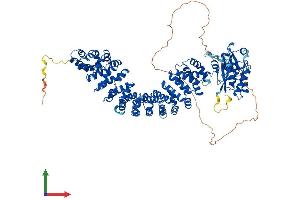 Protein Structure (PS) image for Armadillo Repeat Containing 3 (ARMC3) (AA 1-881) protein (His tag) (ABIN7561958)