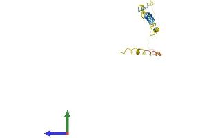 Protein Structure (PS) image for Brain Expressed, X-Linked 4 (BEX4) (AA 1-120) protein (His tag) (ABIN7552700)