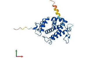 AlphaFold protein structure predicition of Mouse Recombinant Mob4 Protein, UniprotID Q6PEB6