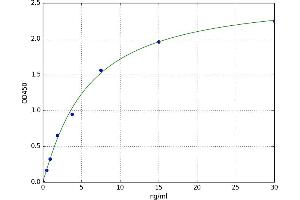 Adenosine A2a Receptor (ADORA2A) ELISA Kit
