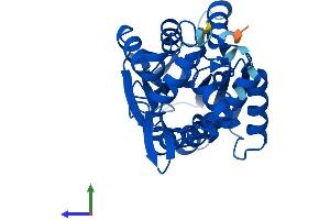 AlphaFold protein structure predicition of Mouse Recombinant Hnmt Protein, UniprotID Q91VF2 (HNMT Protein (AA 1-295) (His tag))